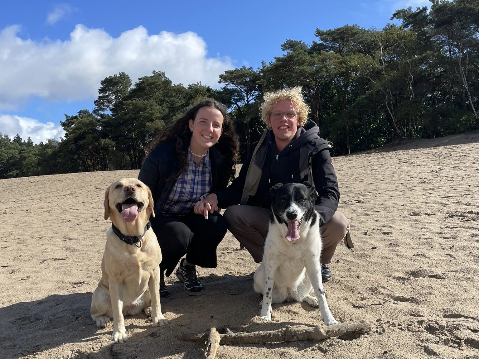 Honden tijdens een wandeling met Pootgenoten
