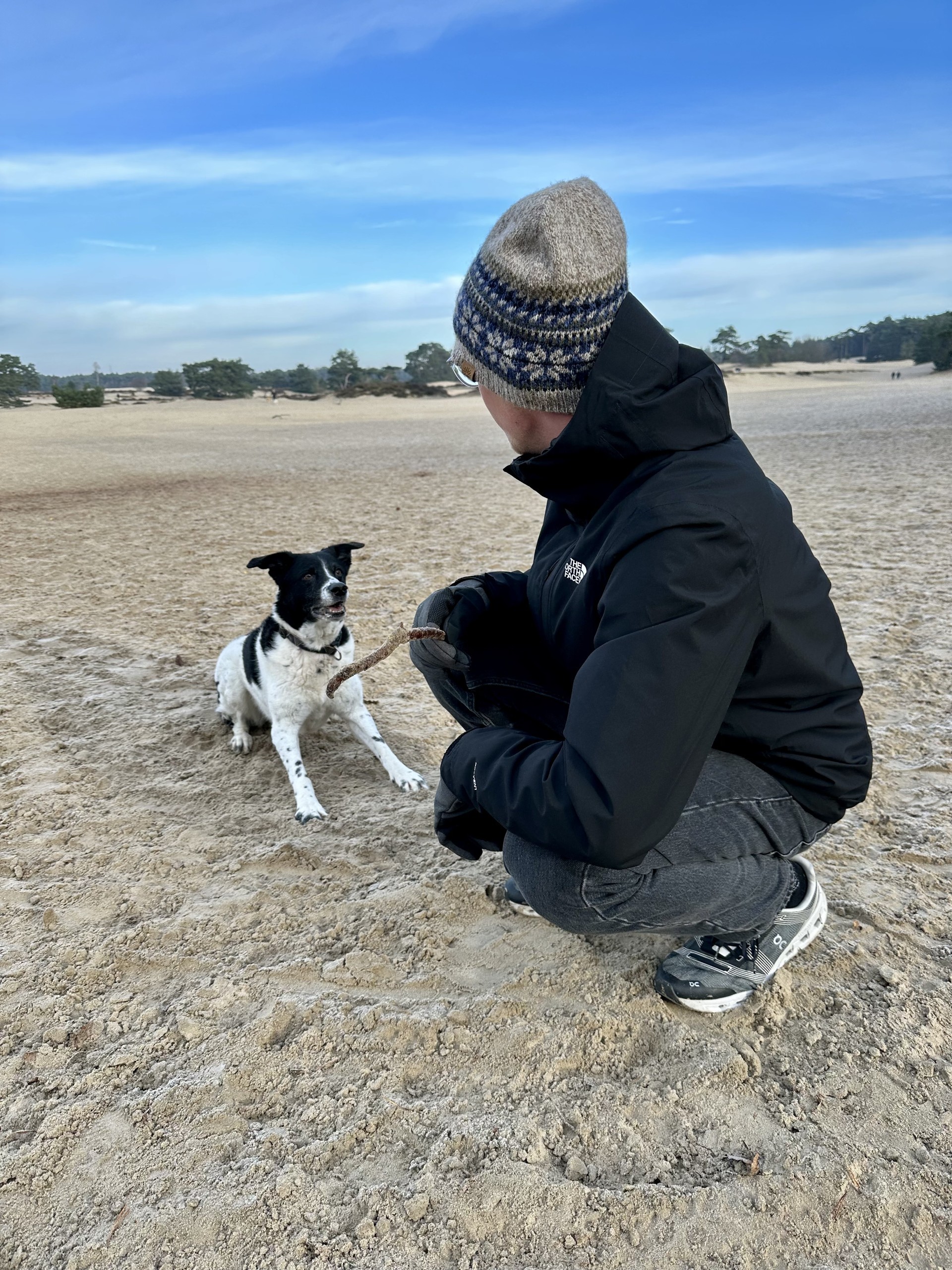 Hond in de natuur
