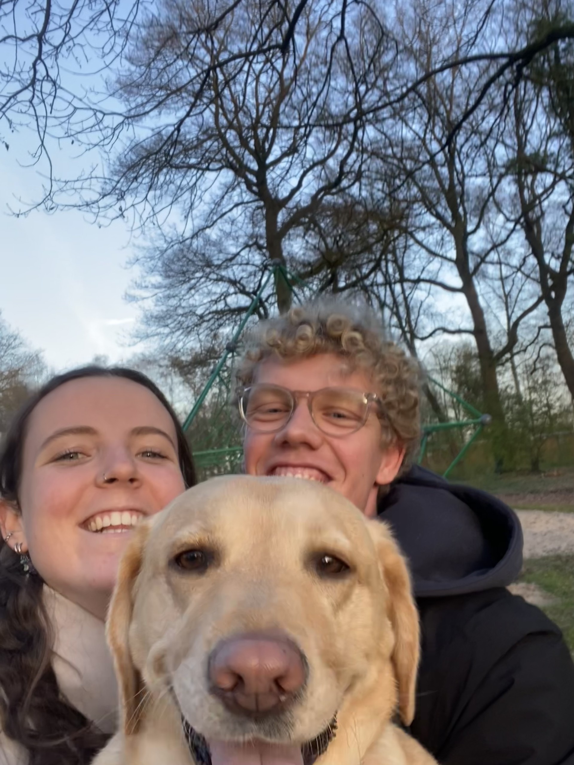 Hond tijdens een wandeling
